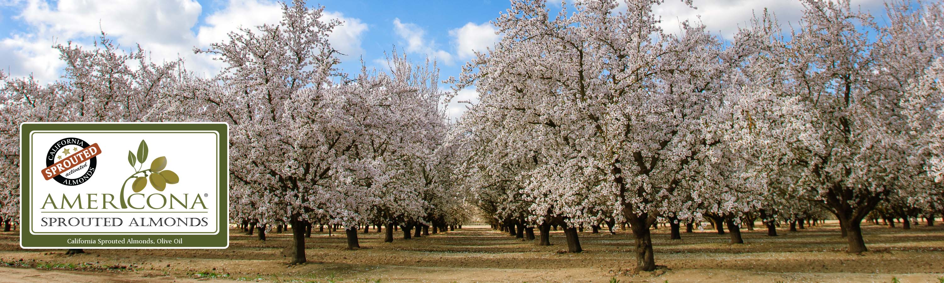 Americona Almonds